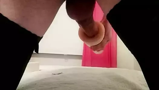 Erika meşe üstleri et ışığı, arkadan görünüm