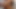 kaltak kamelya
