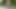 Modern DE 09 2000s Piss