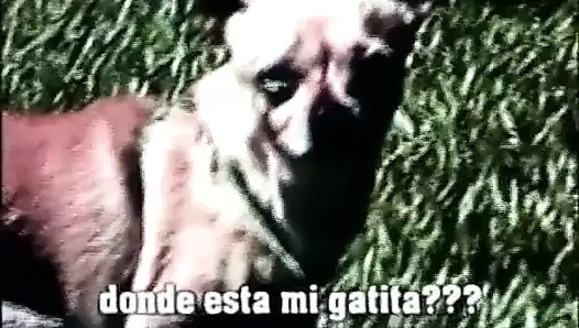 Siyah çift bahçede seviyor