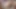 Chloe-delaure: 2 lezbiyen porno yıldızı İtalyan restoranında sikişiyor