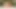Charlie Forde, Emberly Adams'ın yer aldığı röportaj yağı ve eşcinsel pornosu