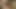 Kız ile büyük yapay penis içinde ona kedi
