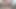 Seksi teyze askılı ve olgun kıllı amcıkla sevgilisine heyecan veriyor