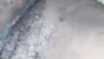 Haitian kaltak gösterme kedi pt 2