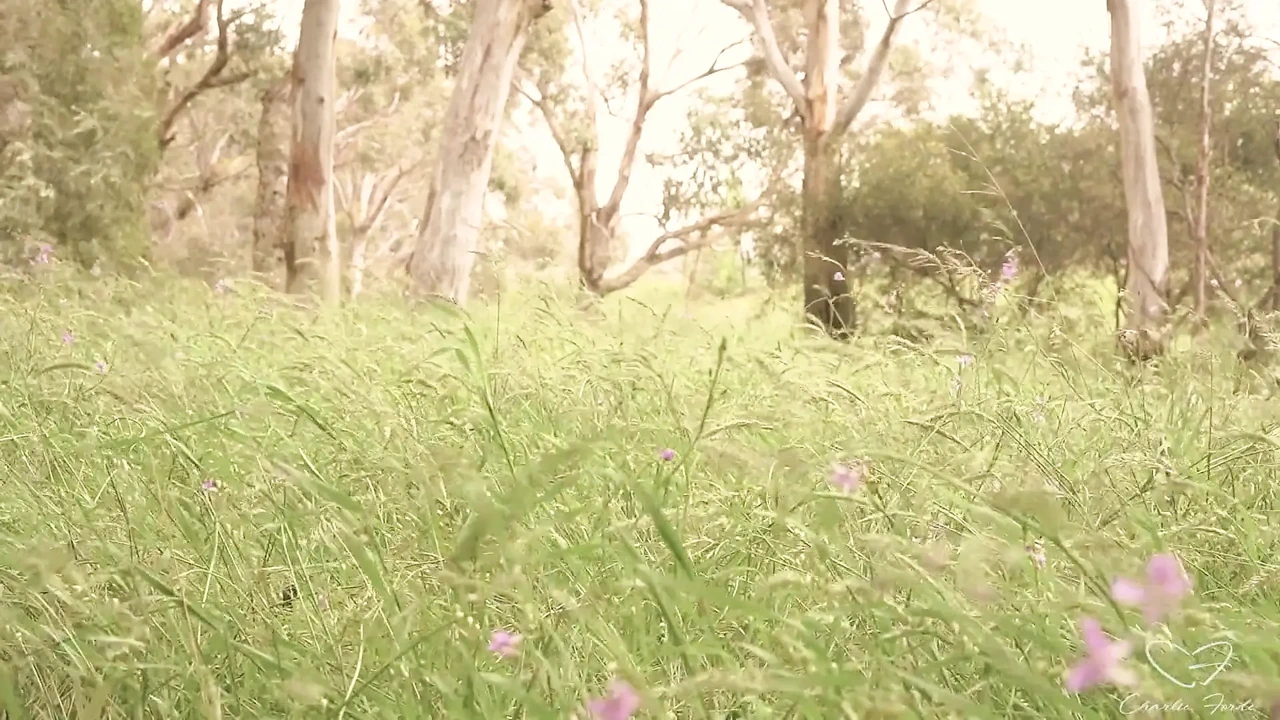 Down Under: Homeward Bound Part Lost Featuring Charlie Forde Caleb Arcane (Full Video) - Melbourne Locals Only - Australian Sex Video