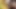 Büyük zenci yarağı bağımlılığı -% 100 amatör ve ev yapımı porno videoları. Orta yaşlı seksi kadınlar büyük zenci yarağı bağımlısı ve ırklararası sikiş