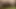 Yeni bir sikli oğlan sky'ı tanıma