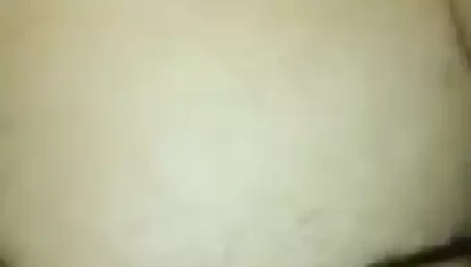 Sıcak meksika ayı becerdin