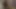Giantess transgal senin için kalın kız arkadaşımı okşuyor