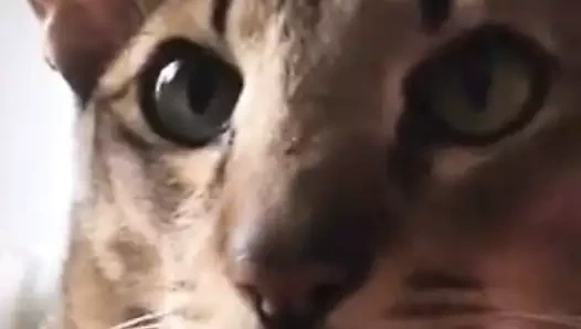 erkek arkadaşını nasıl uyandırırsın