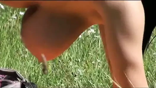 Sarkık göğüsler, alp çayırlarında en sıcak meme