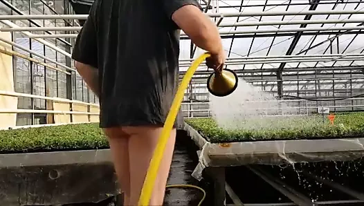 Thomas beim Blumen giessen