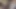 Doğal tombul Japon genç kız yarağa binmenin ve döllenmenin tadını çıkarıyor