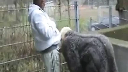 Olgun ho verir kafa içinde kamu