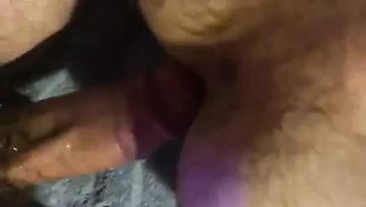 Ayı ıslak deliği sikiyor