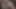 Olgun hatunlar vahşi grup seks partisi