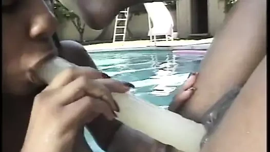 Dört siyah lezboz havuzun yanında büyük bir yapay penis ile oynuyor
