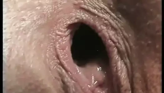 OPERAZIONE CULI APERTI (Full Movie)