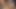 Enfes Asyalı bomba hd porno videonun yıldızı