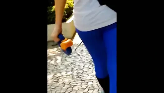 Gata vascaina