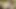 Baştan çıkarıcı orta yaşlı seksi kadın lezbiyenler patlayıcı orgazm için ıslak amcıklarını parmaklıyor