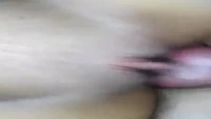 que cojidota se le puso