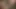 Brooke Banner bir rüya deliği