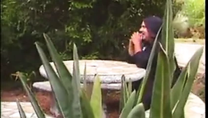 Familia Adams parodia