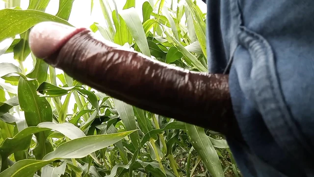 Makka ke khet me oil se malish apne lambe land ki