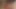 Test81