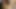 Ateşli ladyboy yarağını okşarken adam dildoyla götünü sikiyor