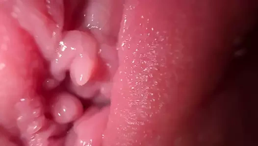 Yakın çekim kedi yayılıyor ve kirli konuşma