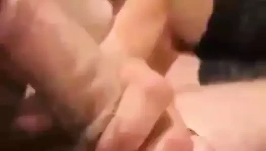 Matorka pusi iskusno