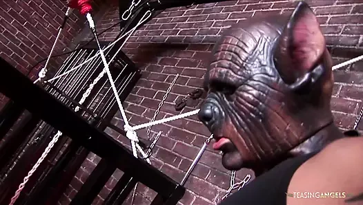 Kafese bağlı ateşli kız başka bir azgın piliçle iki yarağı paylaşmayı seviyor