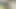 Hintli desi seksi üvey kız kardeş üvey erkek kardeşine masaj yapıyor büyük yarak yağ masajı parmaklıyor
