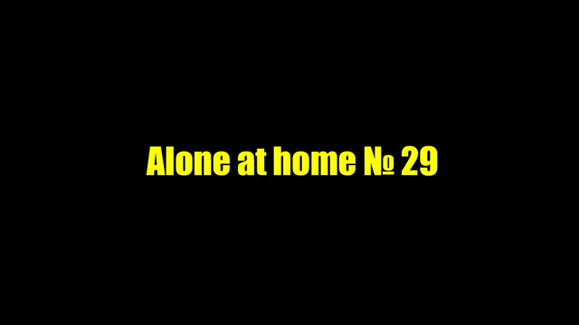evde yalnız 29