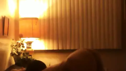 Binx kedi yavrularını seviyor