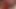 KVPKINGVINTAGEPORN