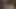Horney kız arkadaş bal içinde kedi