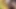 Büyük zenci yarağı bağımlılığı -% 100 amatör ve ev yapımı porno videoları. Orta yaşlı seksi kadınlar büyük zenci yarağı bağımlısı ve ırklararası sikiş