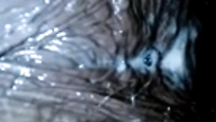 Fredrickberg va text $ 202-650-9630