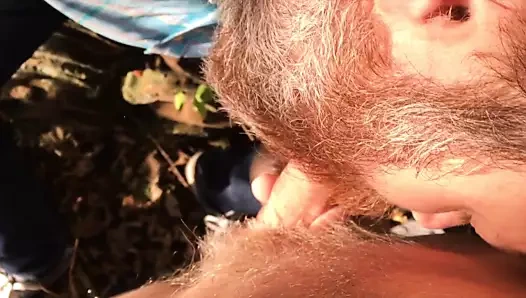 Terk edilmiş arazilerde