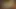 Shae giriş videosu