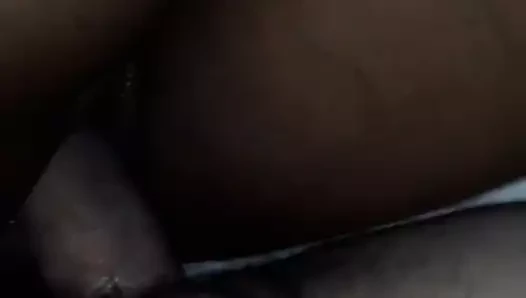 lanet kedi abanoz