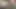 18 Yaşındaki Azgın Komşu Her Gün Penis Emmeyi Çok Seviyor