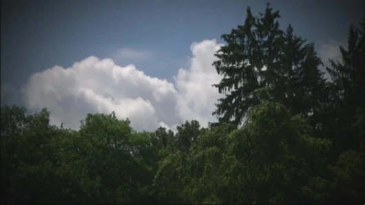 Die rache der comtessa (tam film)