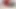 Sapık genç erkek avcısı heyecan verici seks pornosu