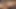 Kıllı ayı Noel Dero yarağını sıvazlıyor ve yüksek sesle zevkle boşalıyor. 4K VIDEO