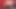 Pawg sahip olan bir yoğun orgazm ile 8 inç yapay penis üzerinde web kamerası